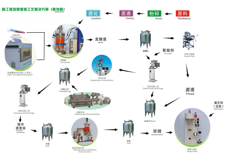 酶工程發(fā)酵整體工藝（胞外）